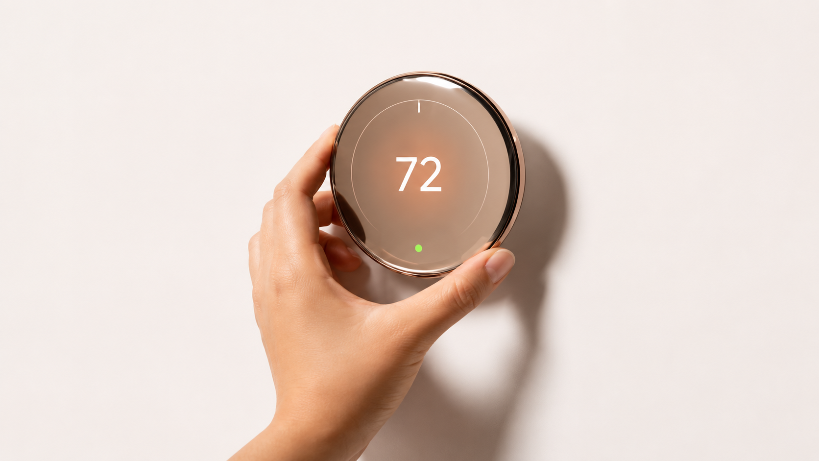 Nest installed